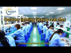 كيفية إضاءة الأشجار في إضاءة المناظر الطبيعية