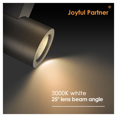 كري COB 10W إضاءة عصرية IP65 مقاومة للماء الألومنيوم LED أجهزة الإضاءة الخارجية